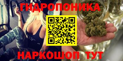 apvp Ливны