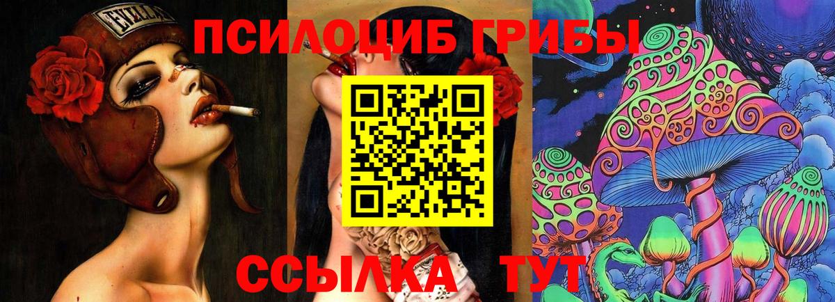 Галлюциногенные грибы GOLDEN TEACHER  Вход с VPN  Гусев  магазин    Галлюциногенные грибы прущие грибы 